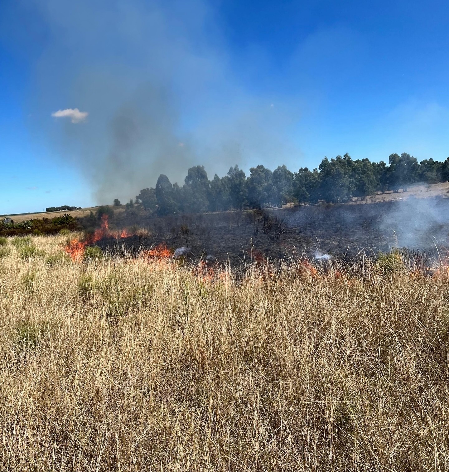 INCENDIO_17.jpg