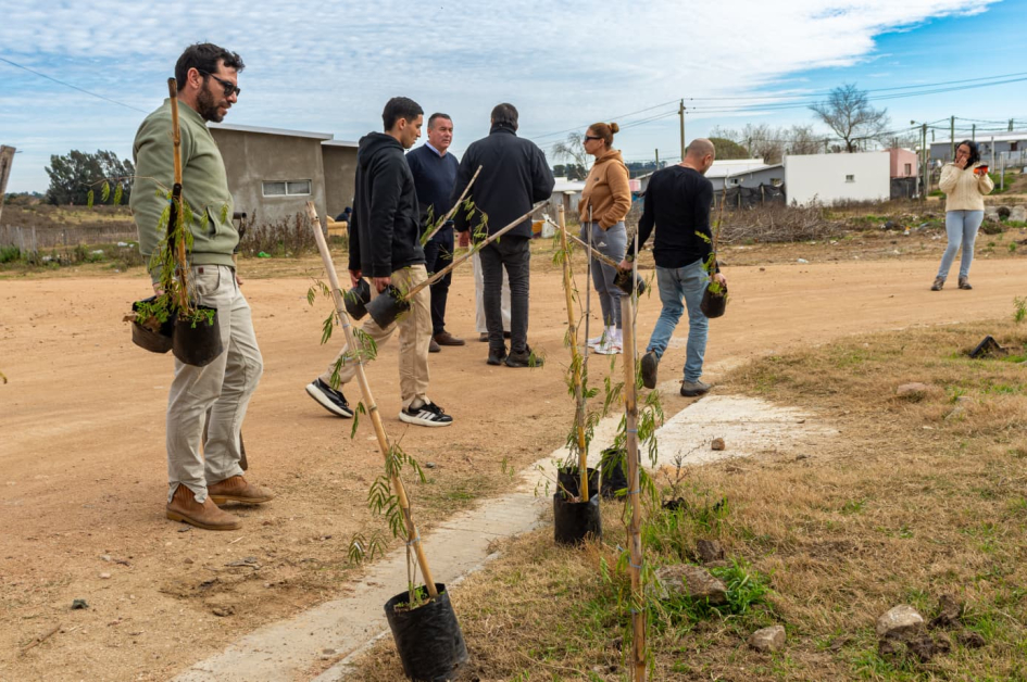 Jornada_de_plantación_de_árboles_en_el_barrio_Renacer_Pintado.jpeg