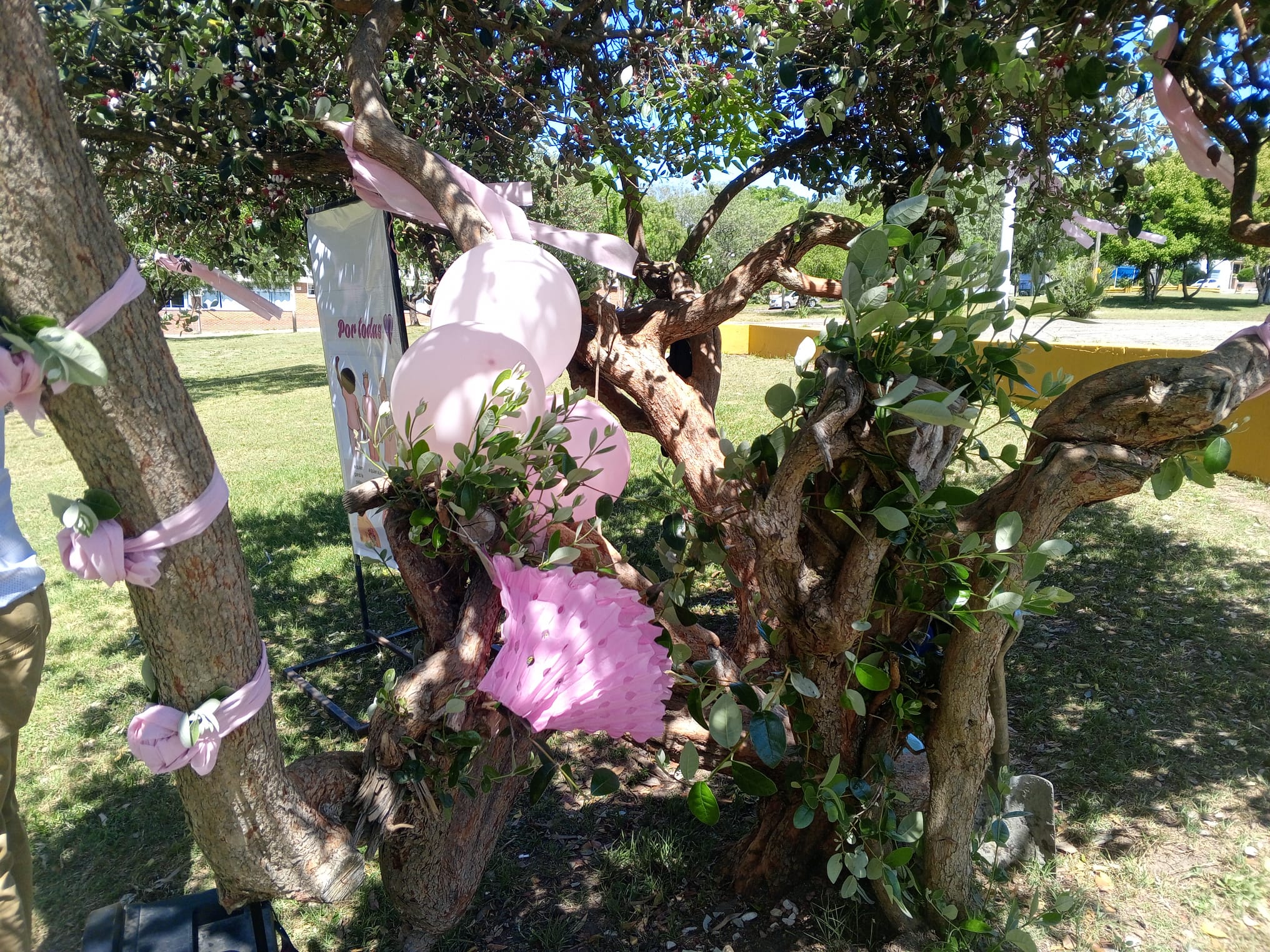 Actividad en Solar Nativo por Octubre Rosa 3