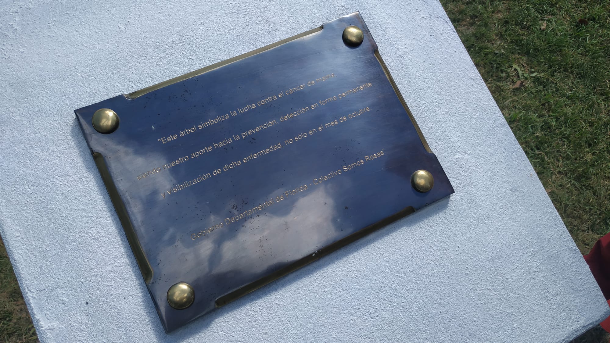 Actividad en el Solar Nativo en el marco del Día Internacional de la Lucha y Prevención del Cáncer de Mama