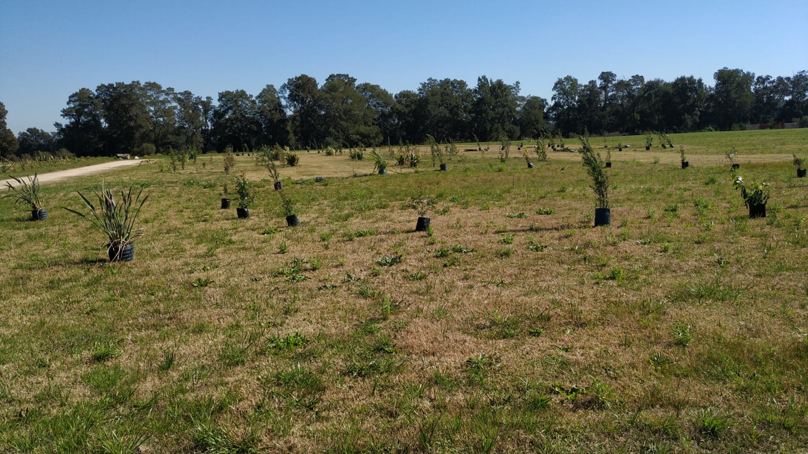 Alrededor del 20 de Setiembre se inaugura el Cementerio Parque Paraíso Eterno 6