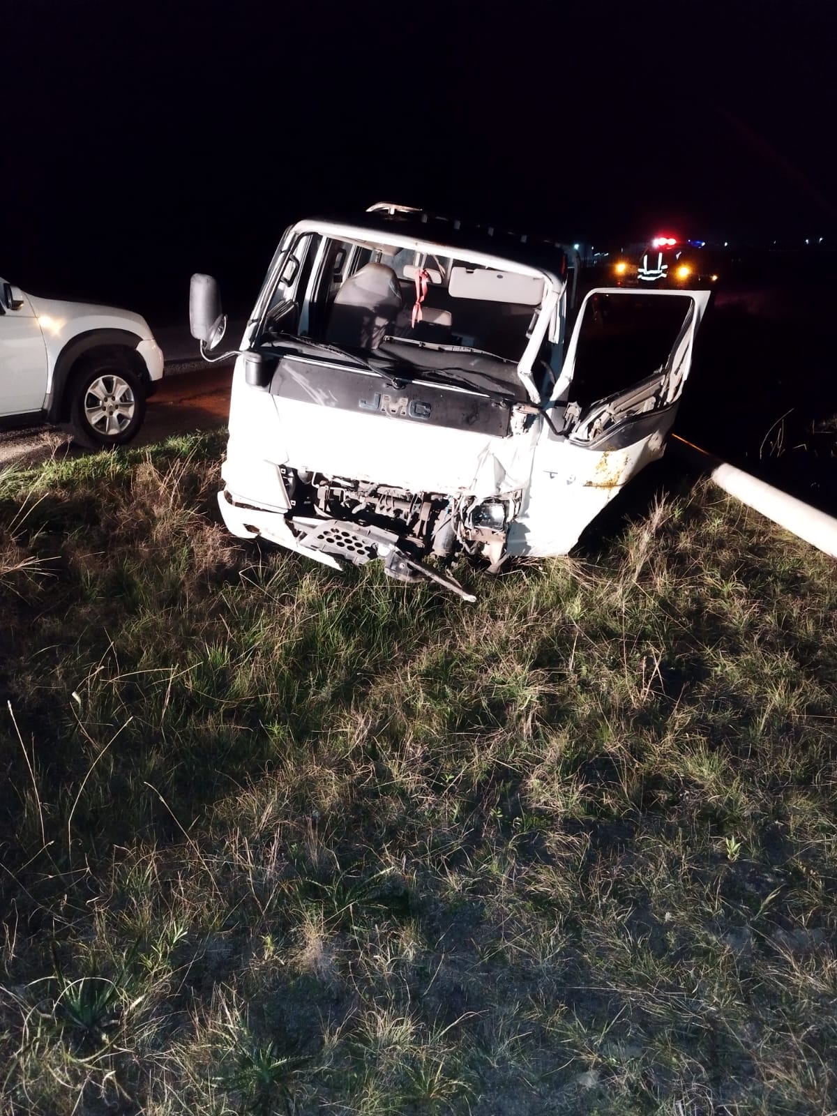 Animal suelto provoca accidente en ruta 5