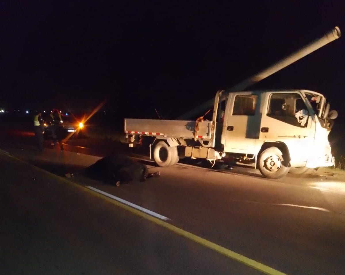 Animal suelto provoca accidente en ruta 5 2