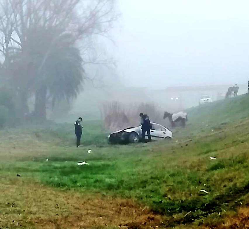 Auto embiste caballo suelto en km 97 de ruta 5