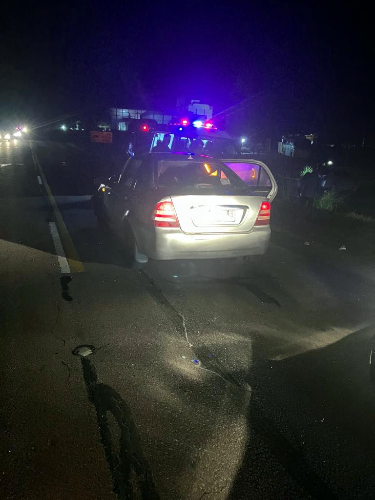 Auto ocupado por 4 efectivos policiales impactó con caballo en km 102.300 de ruta 5