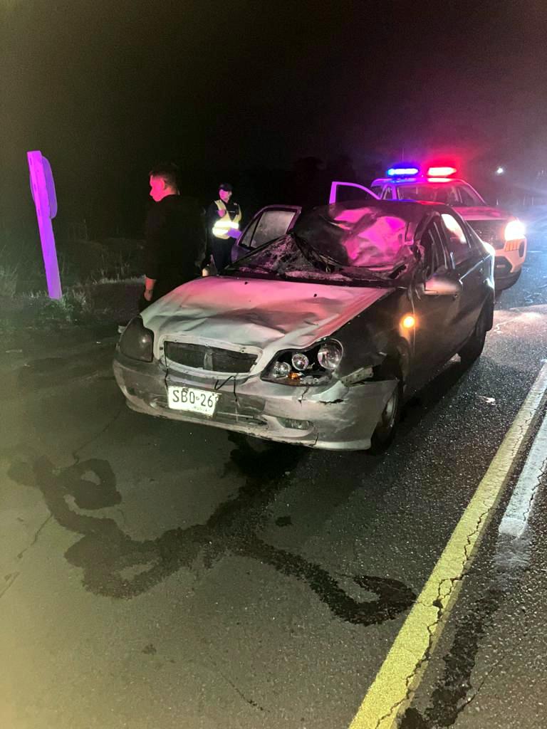 Auto ocupado por 4 efectivos policiales impactó con caballo en km 102.300 de ruta 5 2