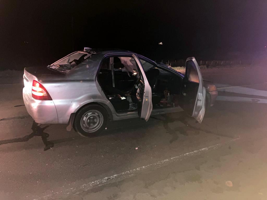 Auto ocupado por 4 efectivos policiales impactó con caballo en km 102.300 de ruta 5 3