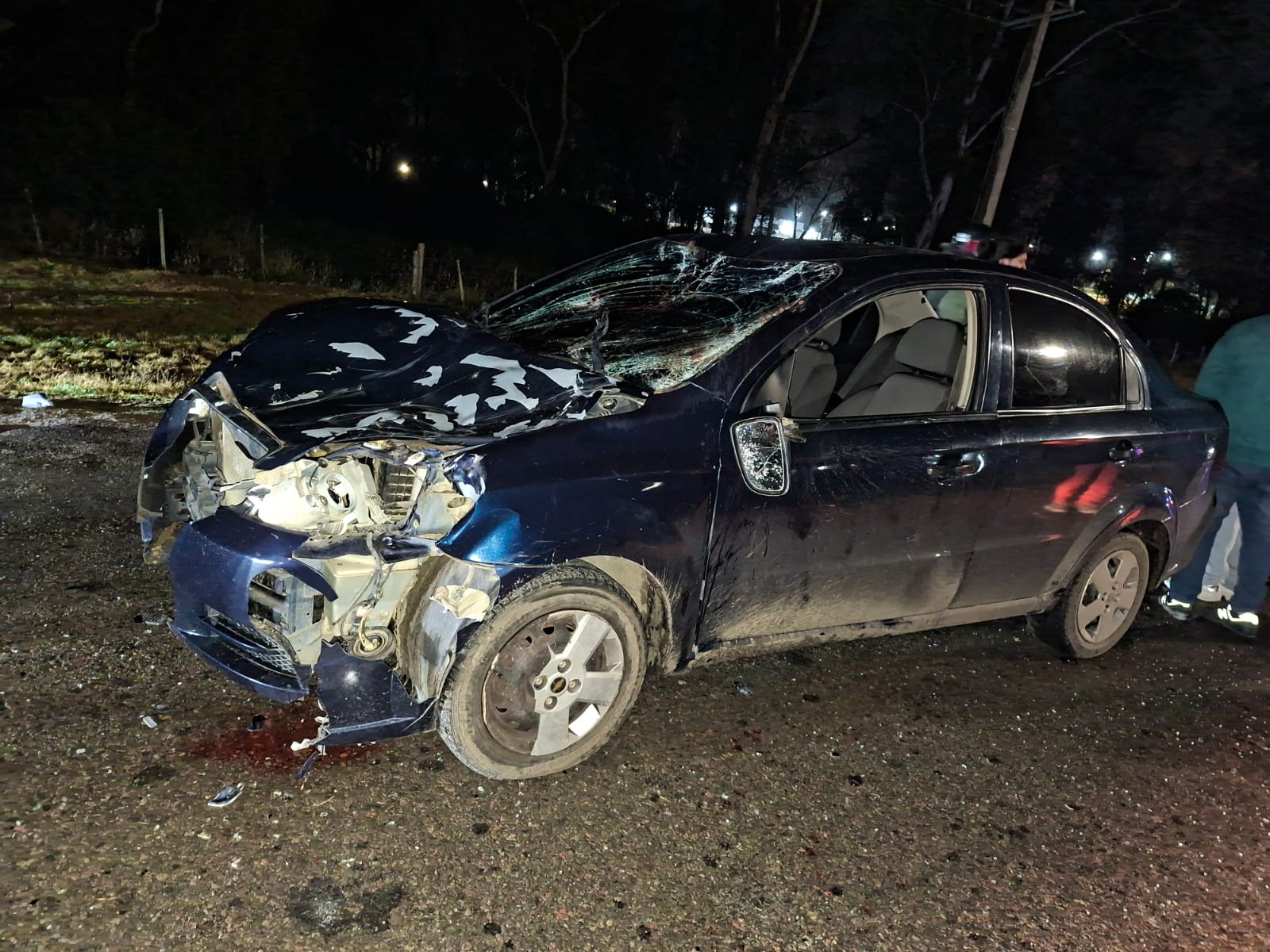 Caballo suelto provoca accidente en calle Treinta y Tres