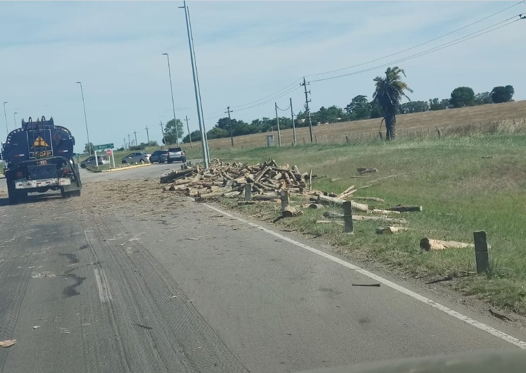 Camión de transporte forestal perdió la carga en ruta 5