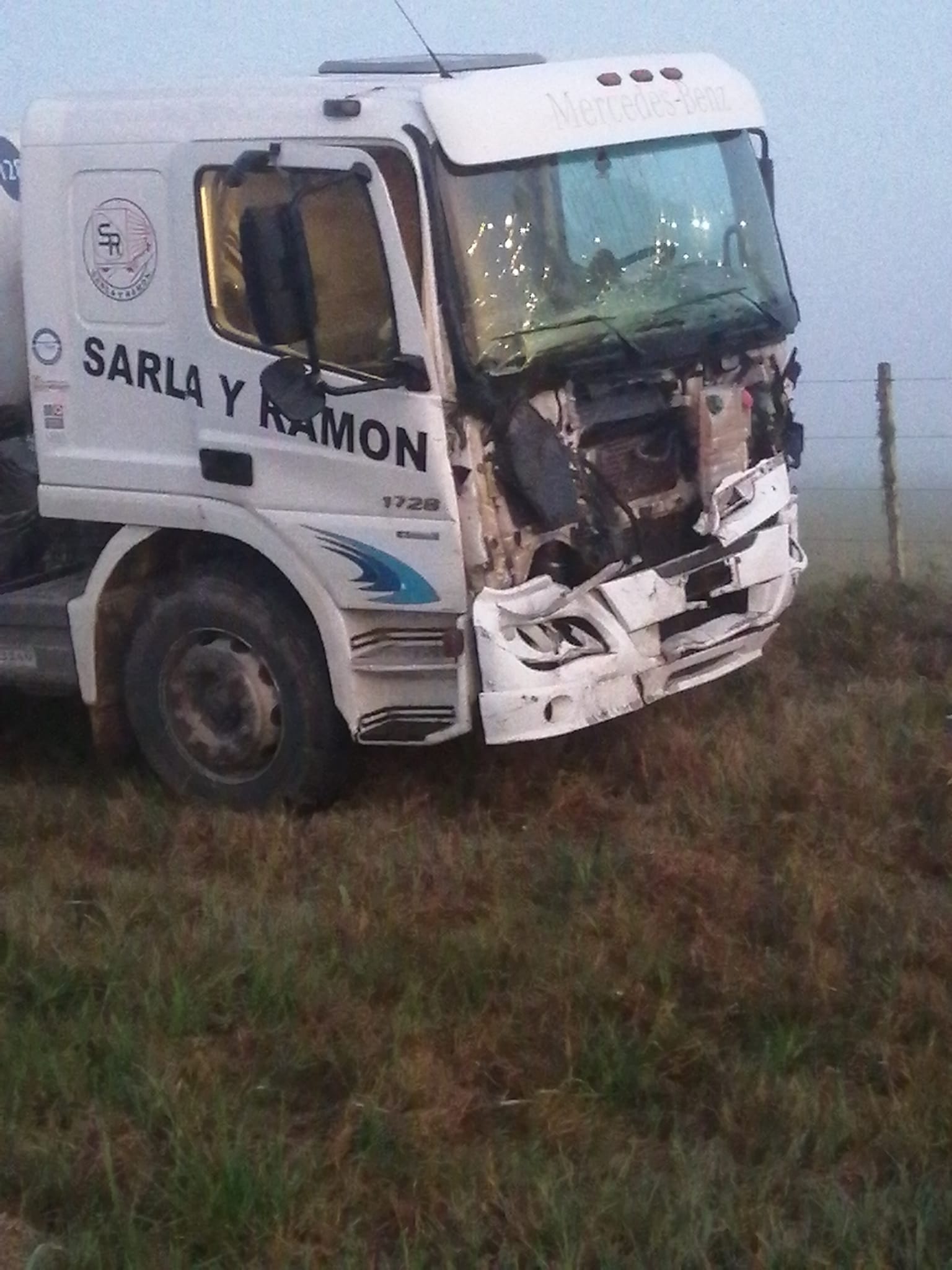 Camión impacta con animal suelto en ruta 76