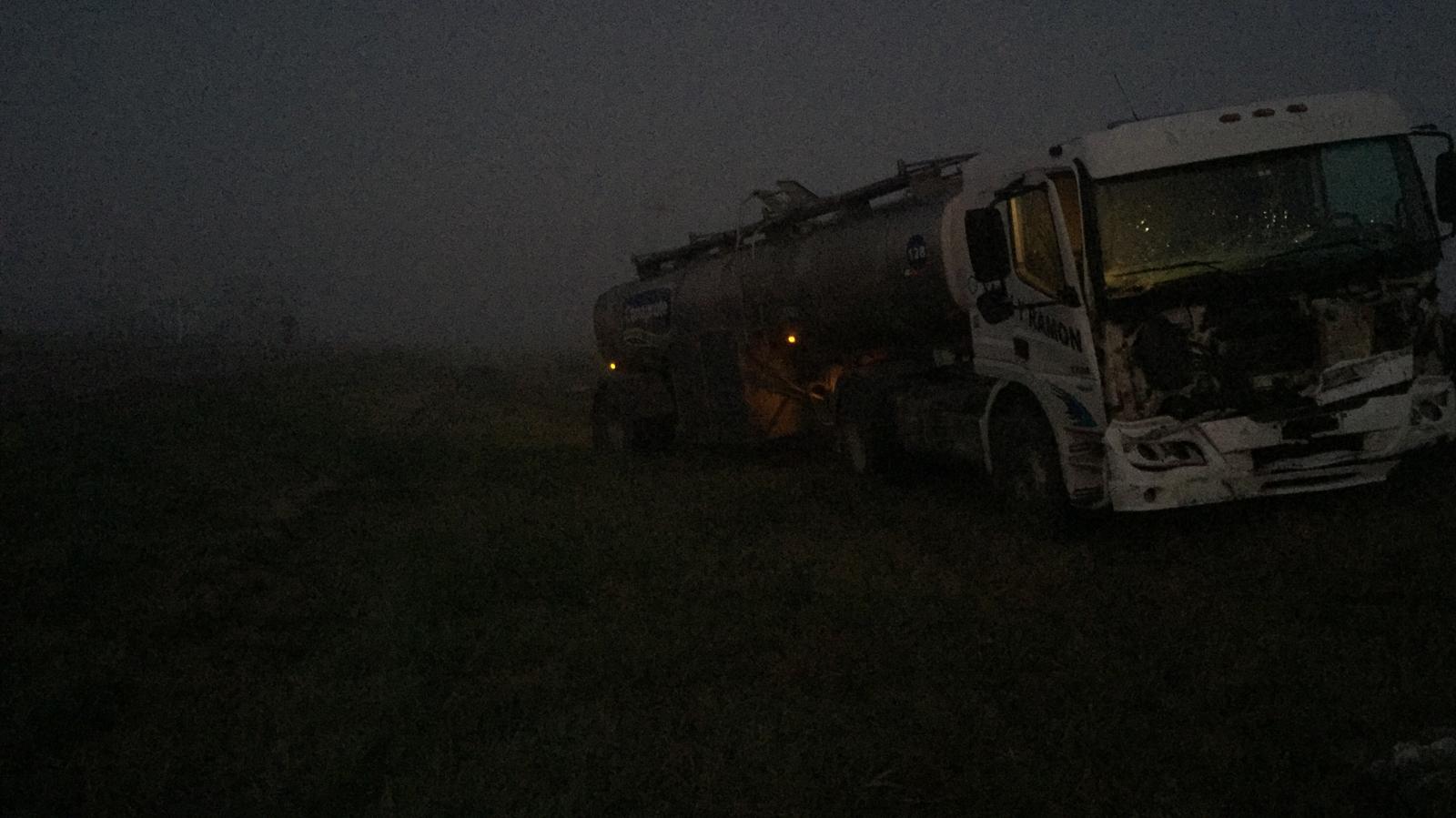 Camión impacta con animal suelto en ruta 76 2