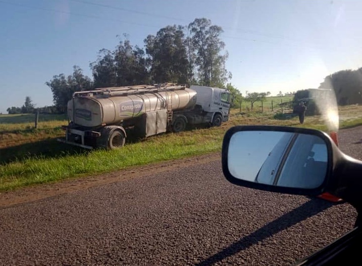 Camión impacta con animal suelto en ruta 76 3