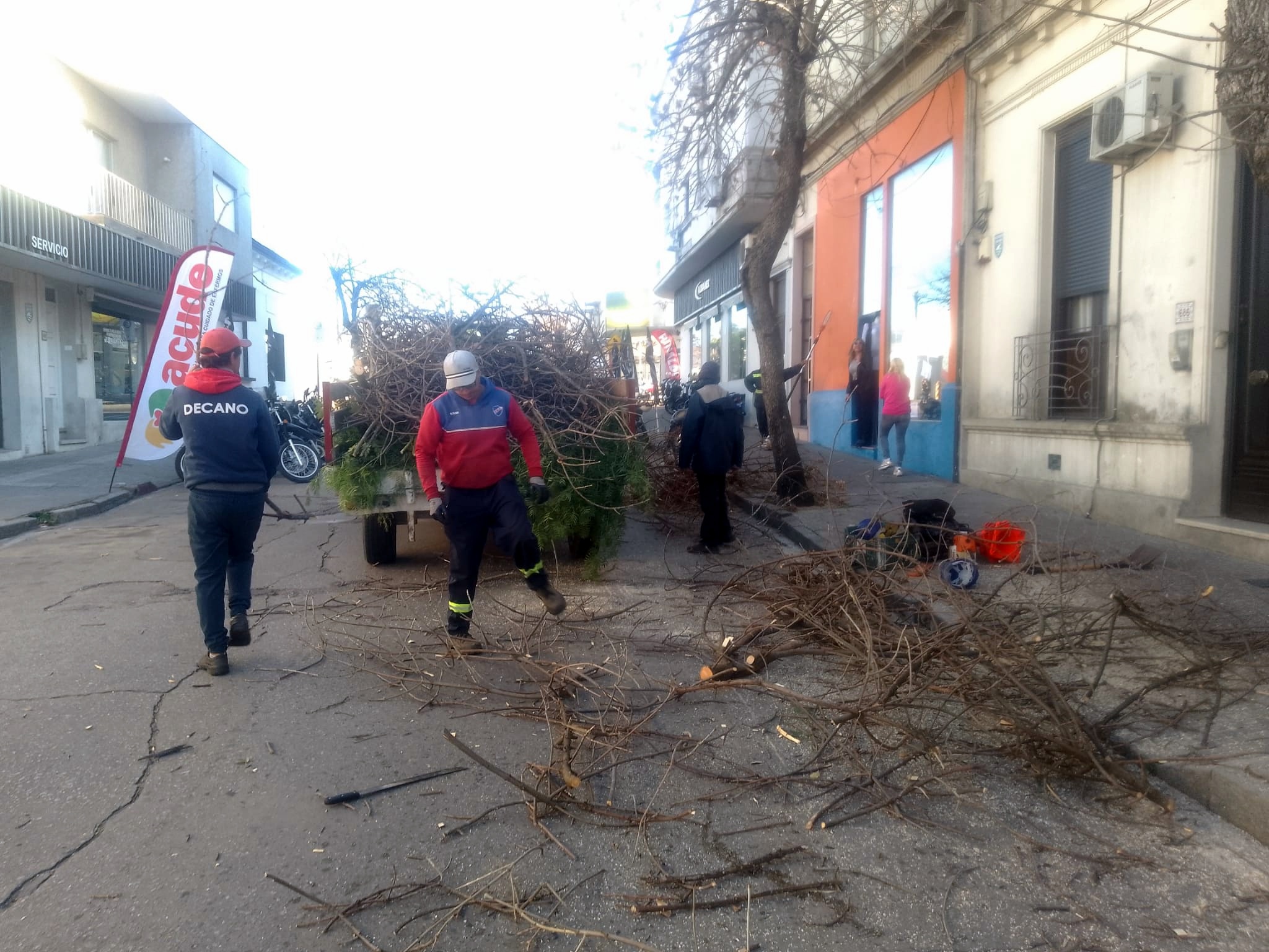 Comenzaron los trabajos de poda anual