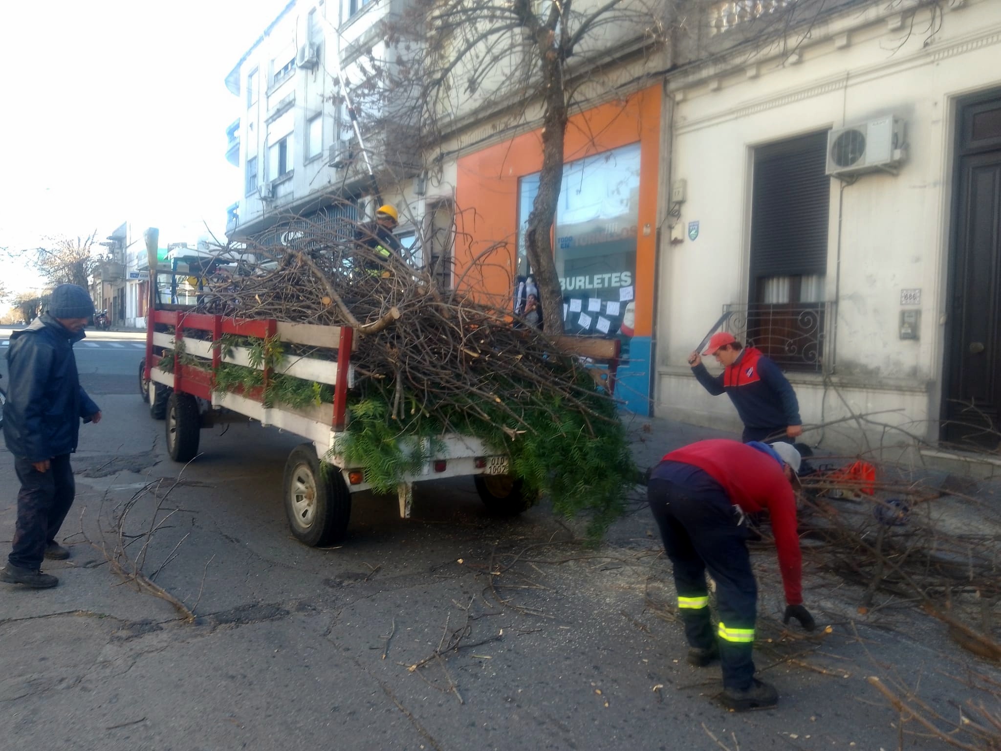 Comenzaron los trabajos de poda anual 2
