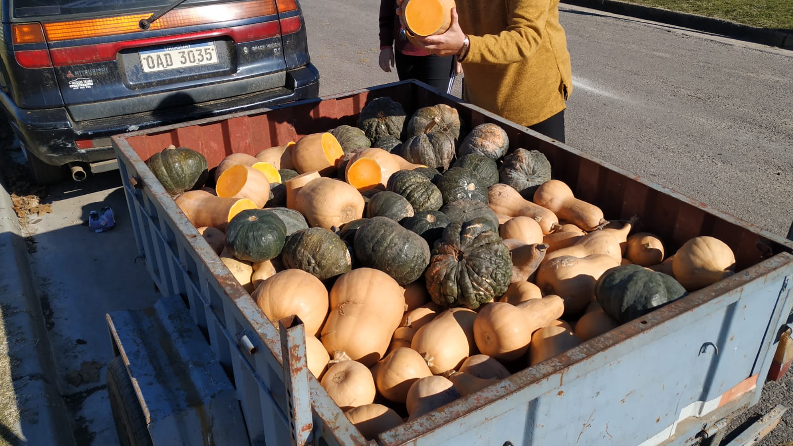 Comerciante de Florida regaló zapallos 2