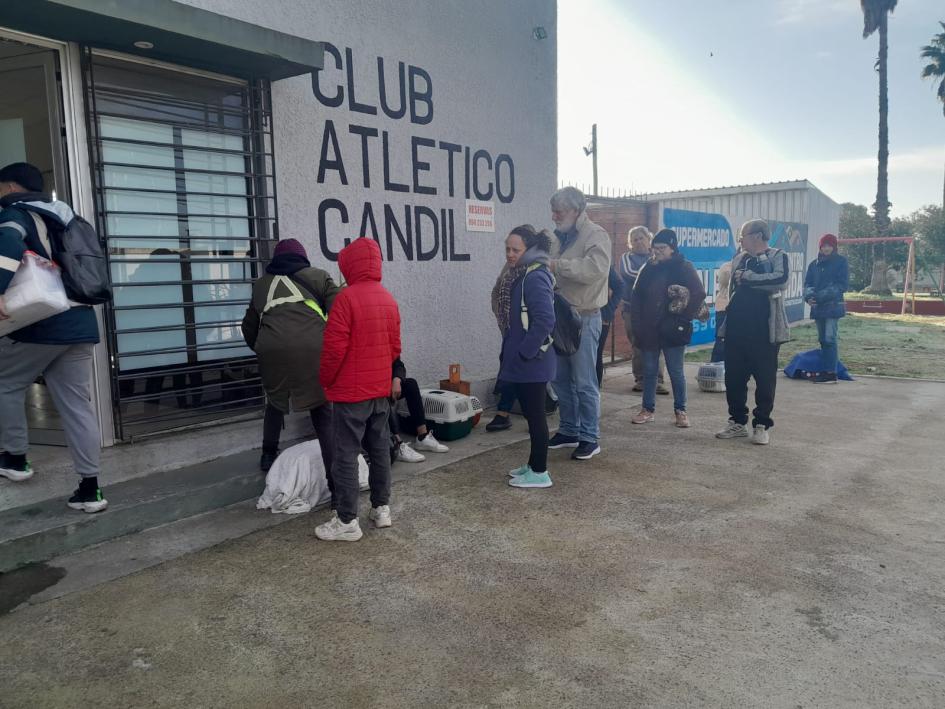 Con buena convocatoria comenzaron las castraciones de gatos