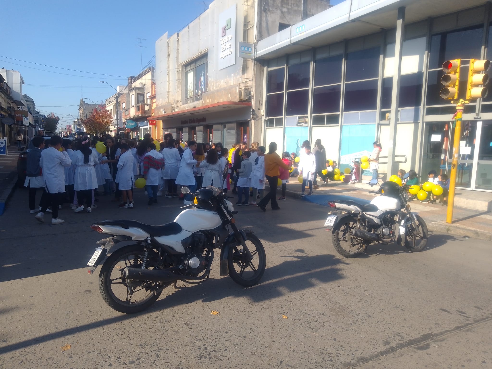 Concientización sobre tránsito Escolares marcharon por el centro de la ciudad