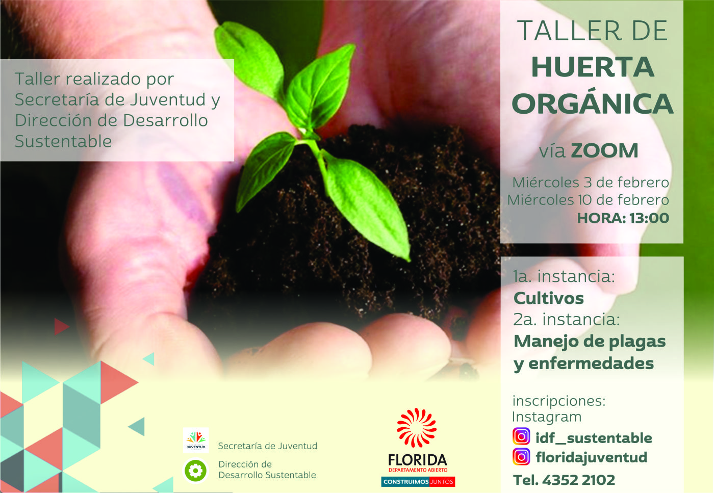 Curso de huerta orgánica vía ZOOM