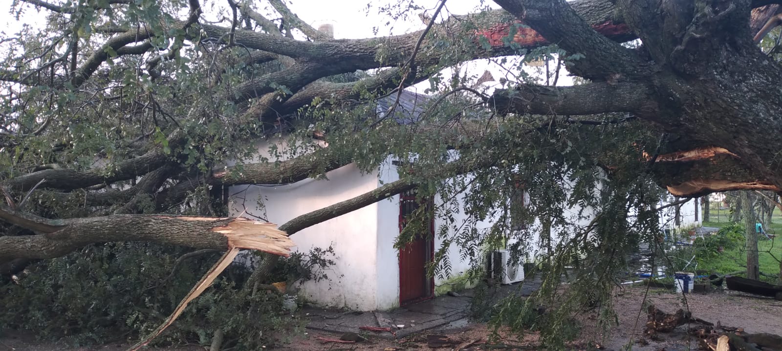 Destrozos tras fuertes vientos en zona de Colonia Francia