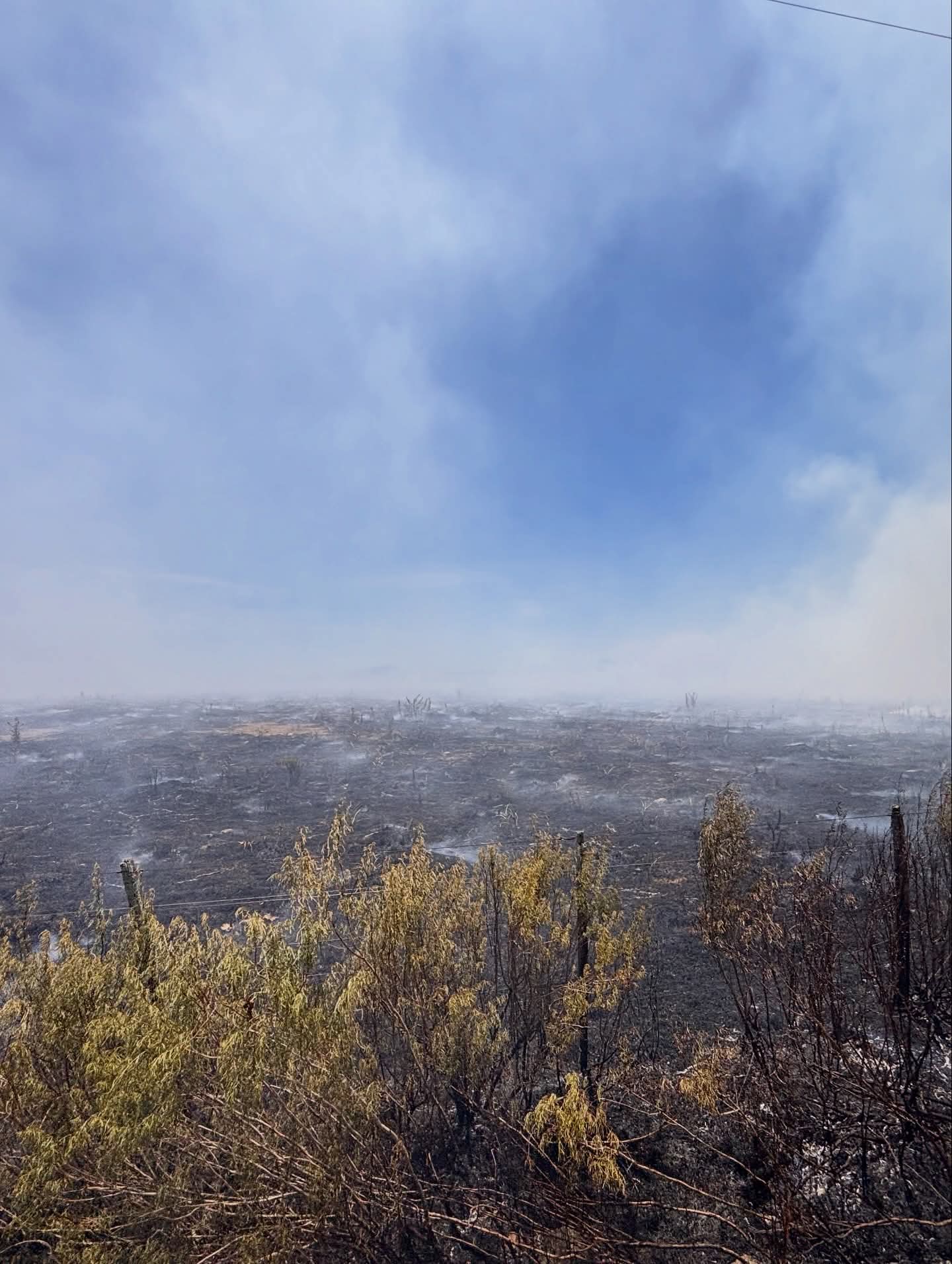 Dos incendios de campo fueron controlados este martes en la zona de Casupá7