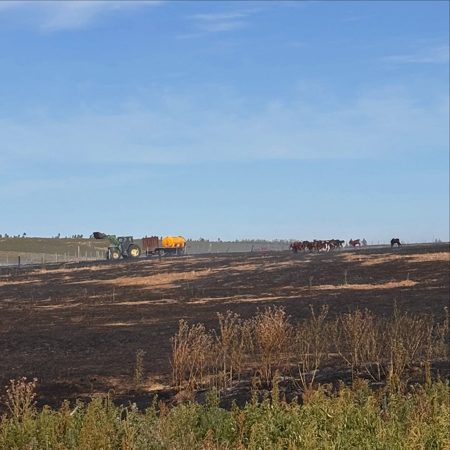 Dos incendios de campo fueron controlados este martes en la zona de Casupá 4