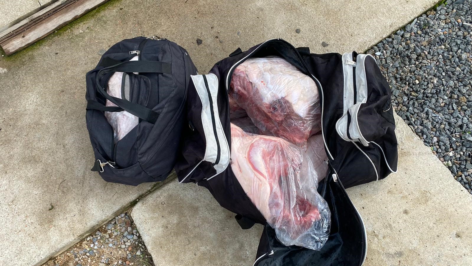 Efectivos de Casupá interceptaron un auto que transportaba carne de Carpincho con destino Montevideo. 2