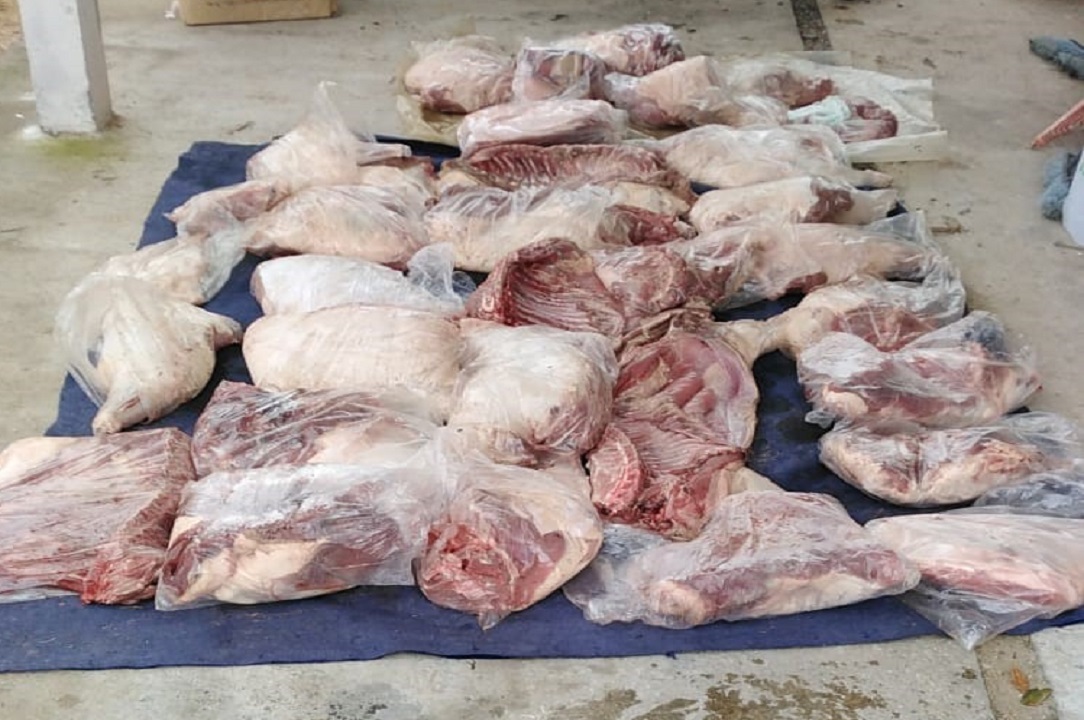 Efectivos de Casupá interceptaron un auto que transportaba carne de Carpincho con destino Montevideo. 4