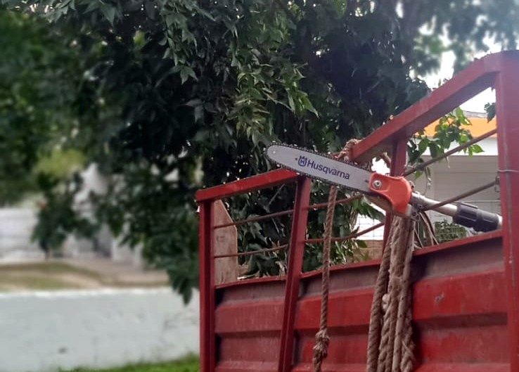 En mayo comienzan los trabajos de Poda