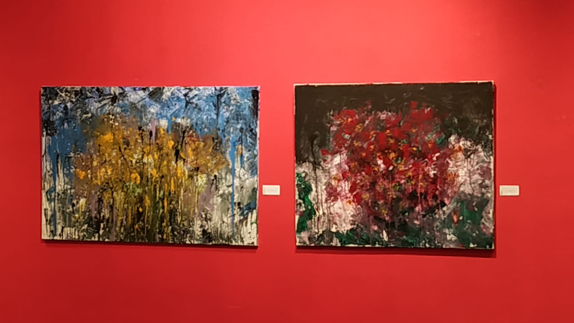 Exposición en el MAVEA El Legado del Maestro 4