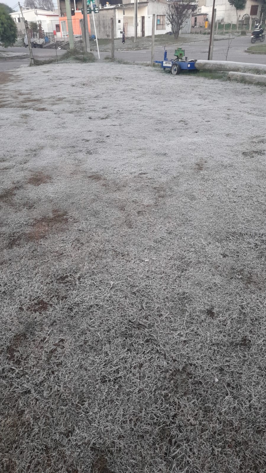 Florida amaneció este viernes con temperatura bajo cero