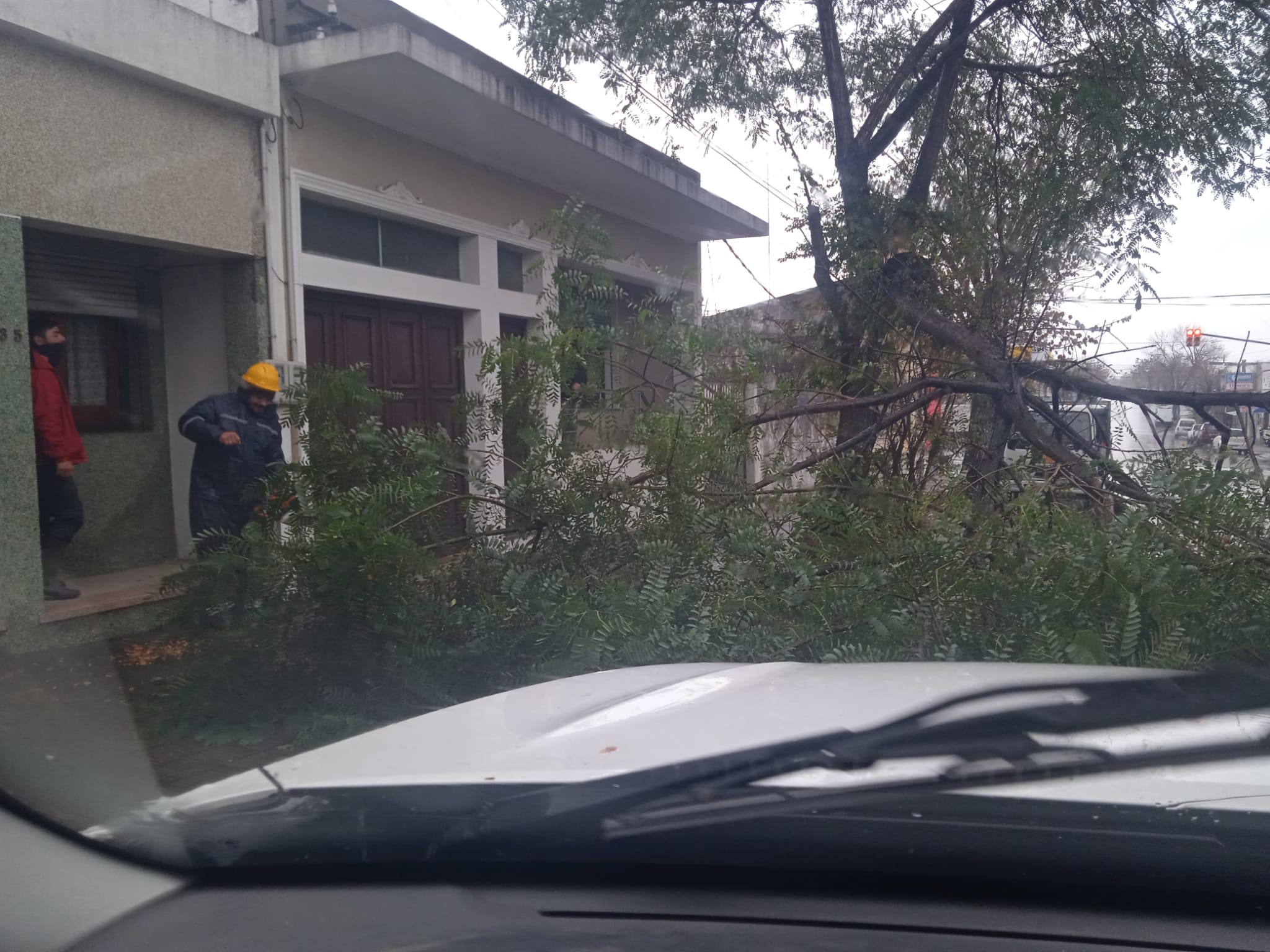 Fuertes vientos generan caída de ramas 3