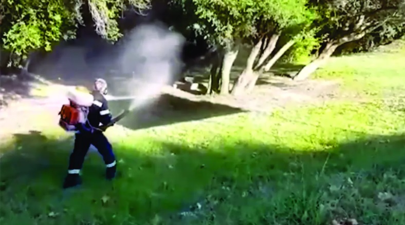 Fumigan espacios públicos ante invasión de mosquitos