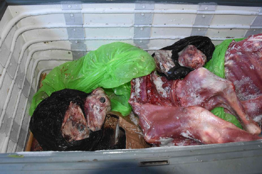 Hombre formalizado a 120 días de arresto domiciliario nocturno por venta clandestina de carne
