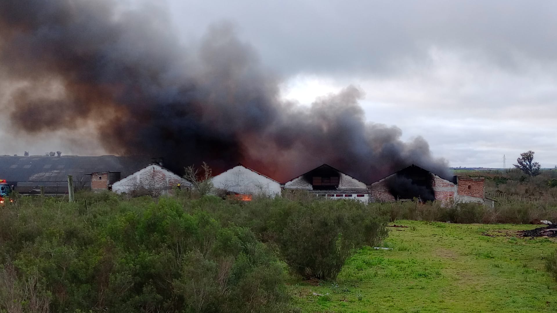 Incendio en planta de reciclado de neumáticos 8 9 23