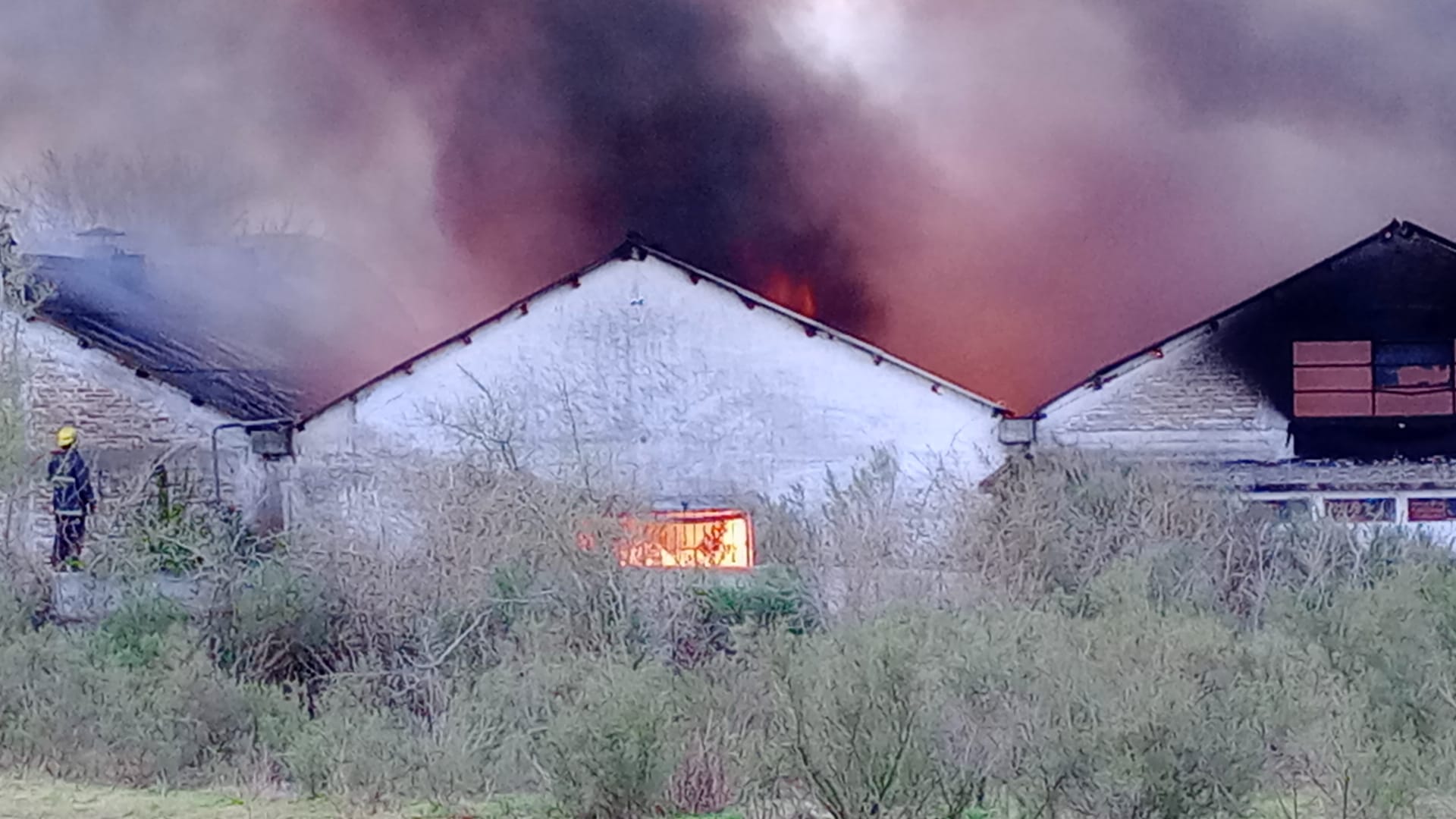 Incendio en planta de reciclado de neumáticos 8 9 23 2