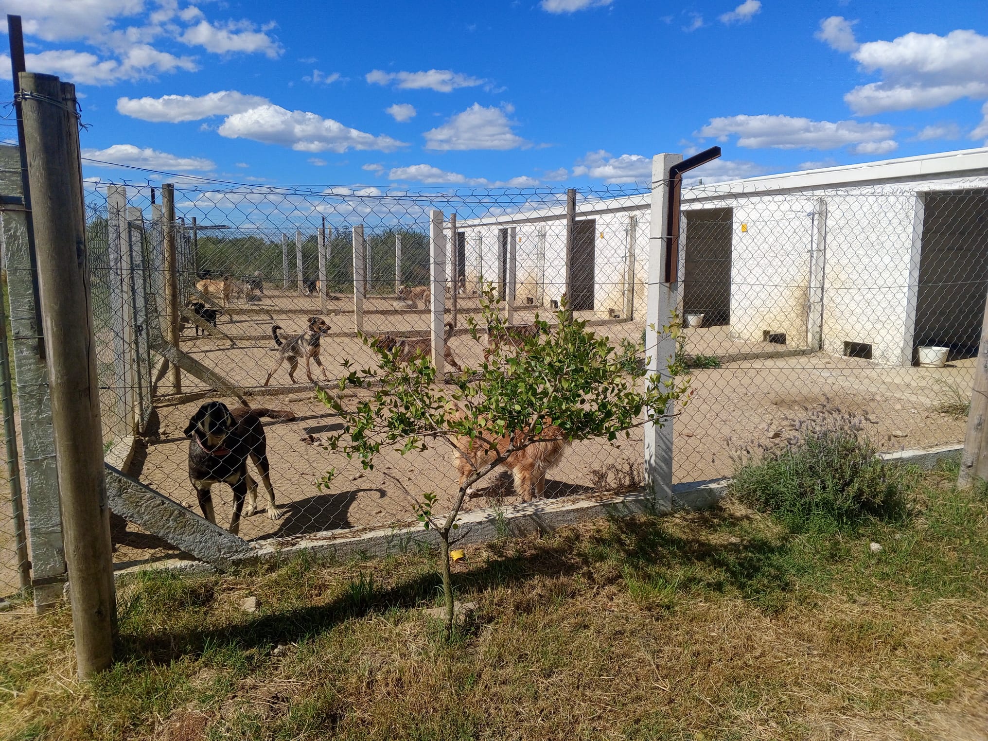 Intendente Enciso recorrió la fundación Cero Callejeros 2