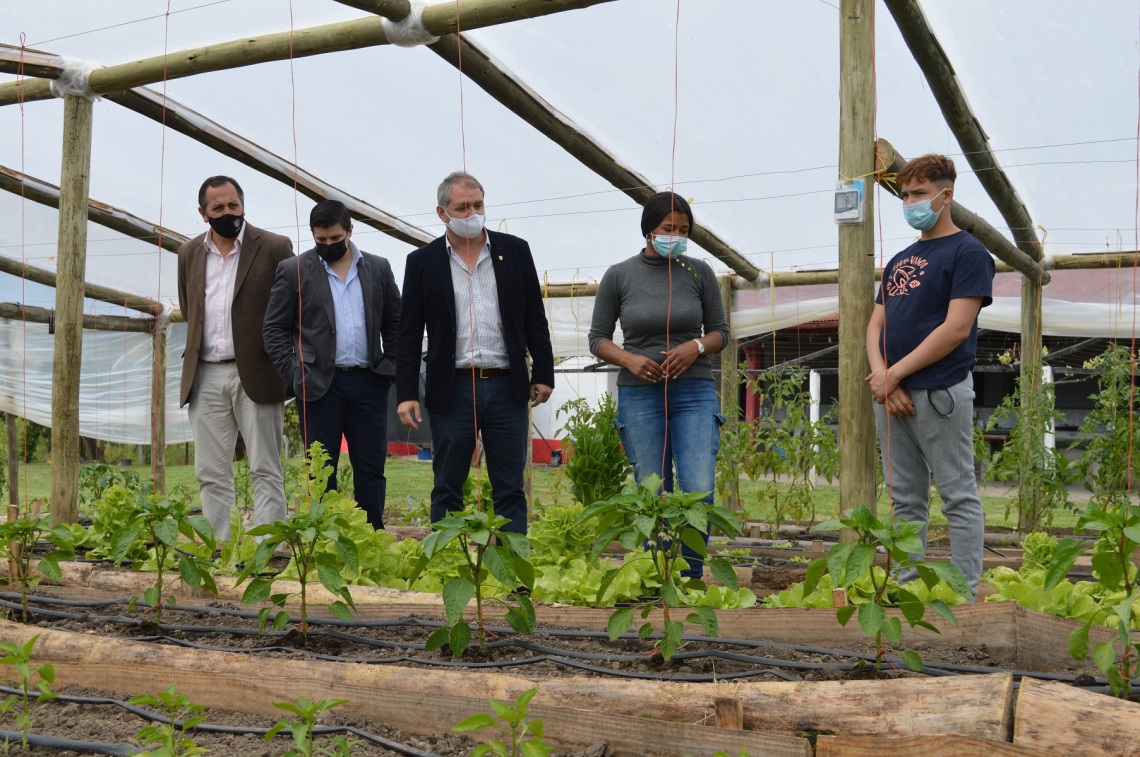Intendente y Director de IMPO visitaron programa de huerta orgánica del proyecto Culti Vamos