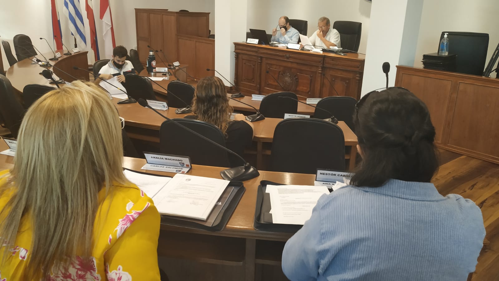 COMISION PERMANENTE 29 1