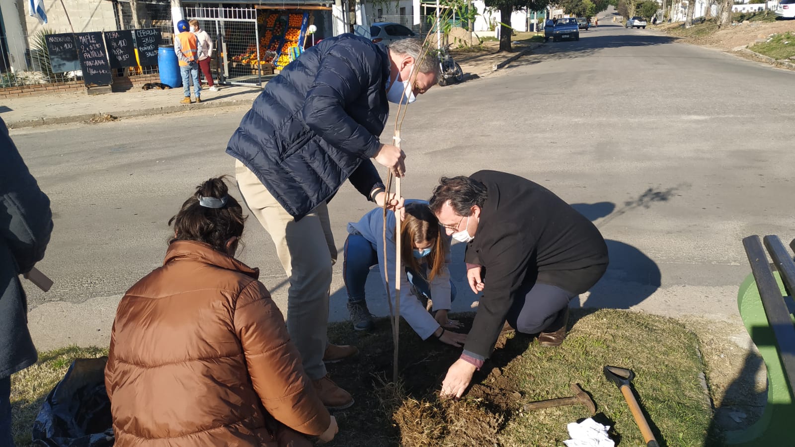 Jornada de plantación de árboles en plazas de Florida 2