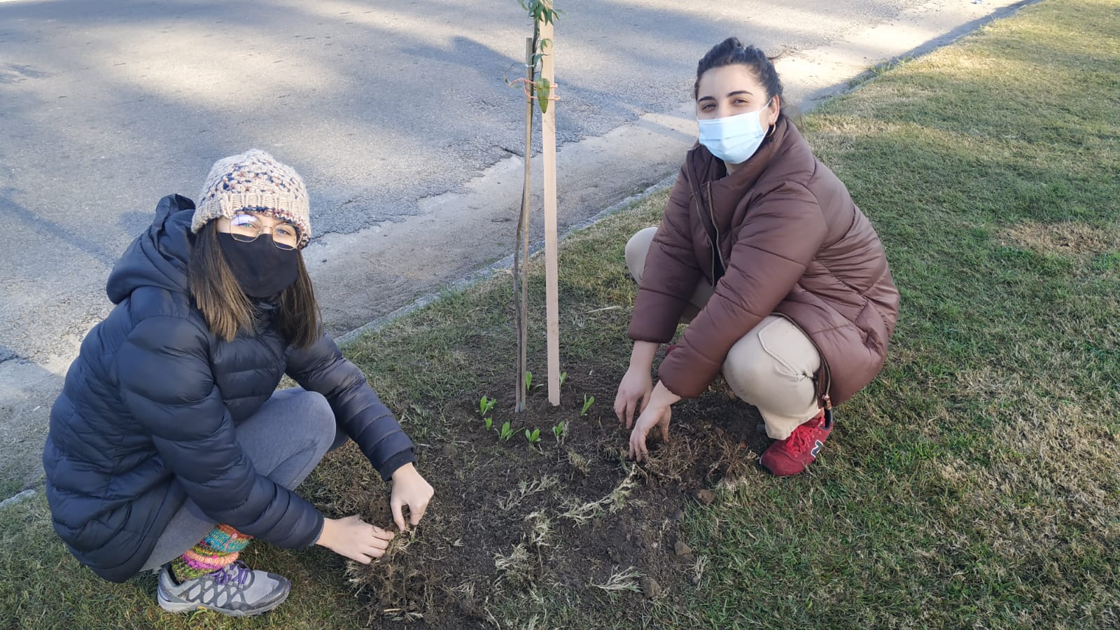 Jornada de plantación de árboles en plazas de Florida 4