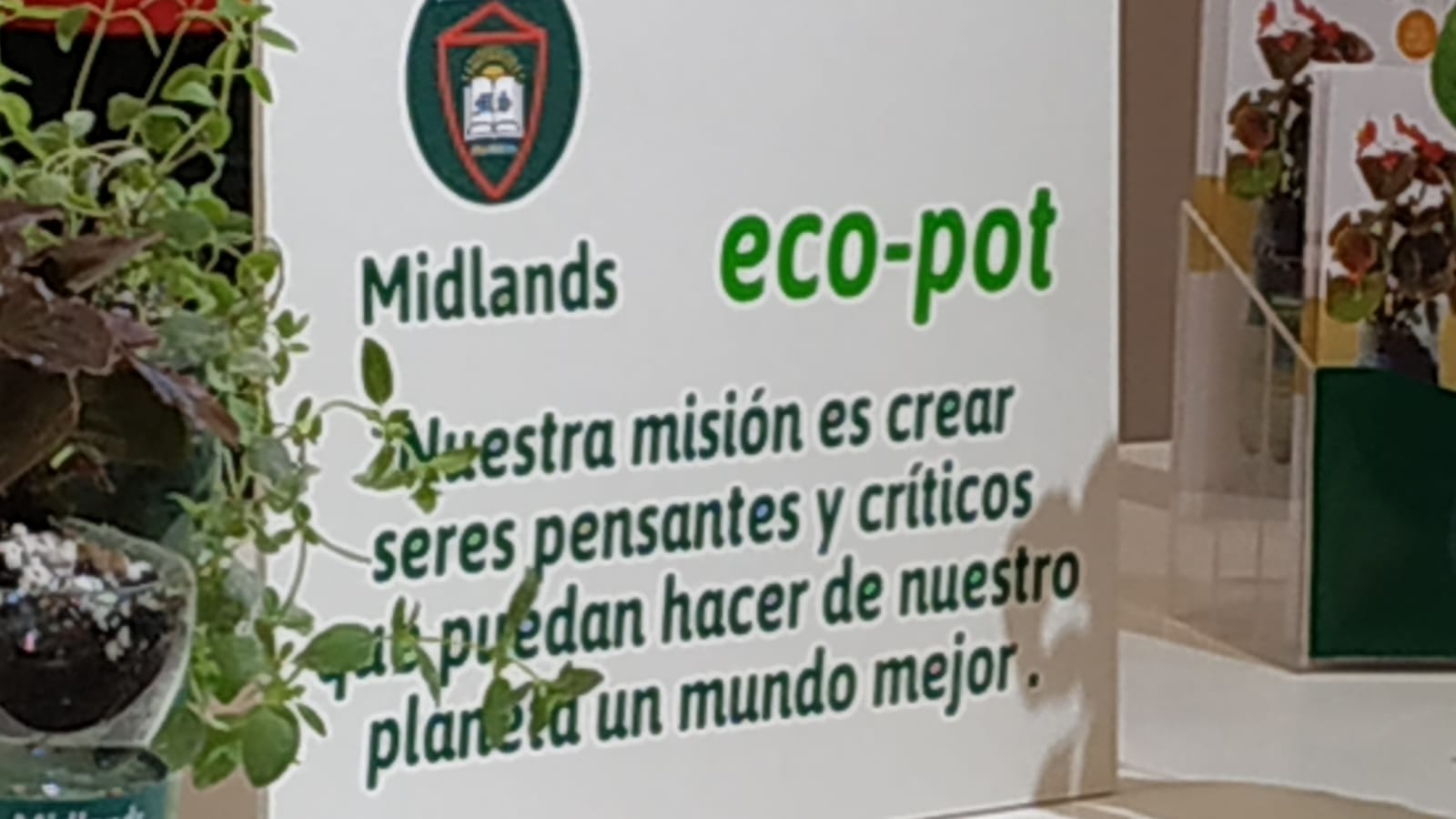 Lanzamiento del proyecto Eco Pot