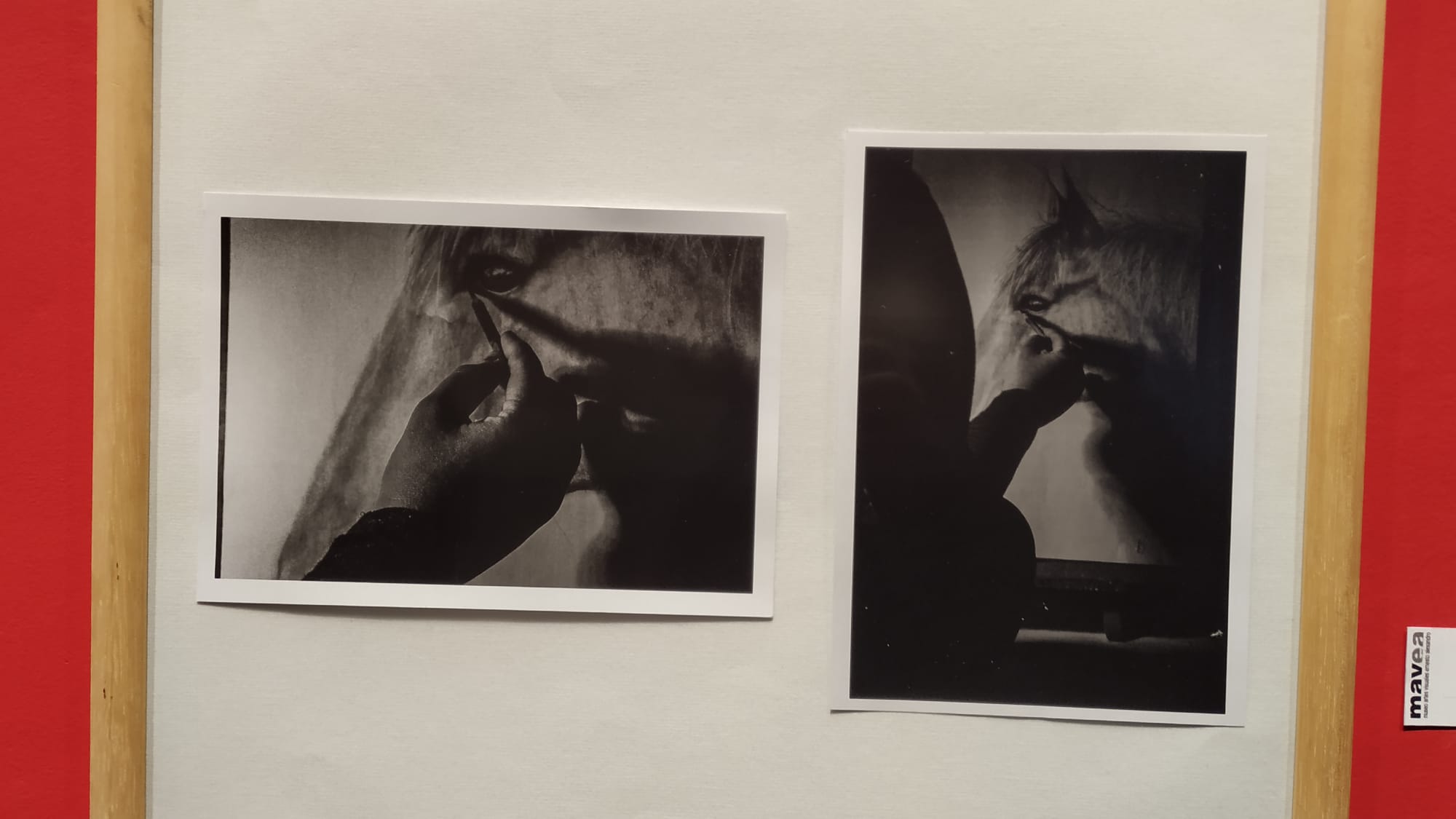 Muestra fotográfica en el MAVEA sobre Salud Mental2