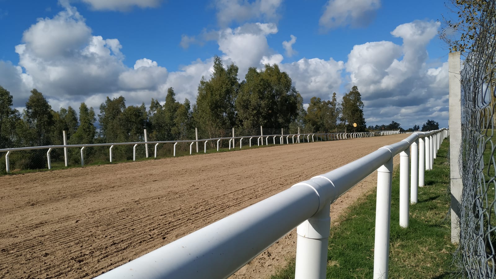 Nuevamente roban en el Hipódromo Irineo Leguisamo 2