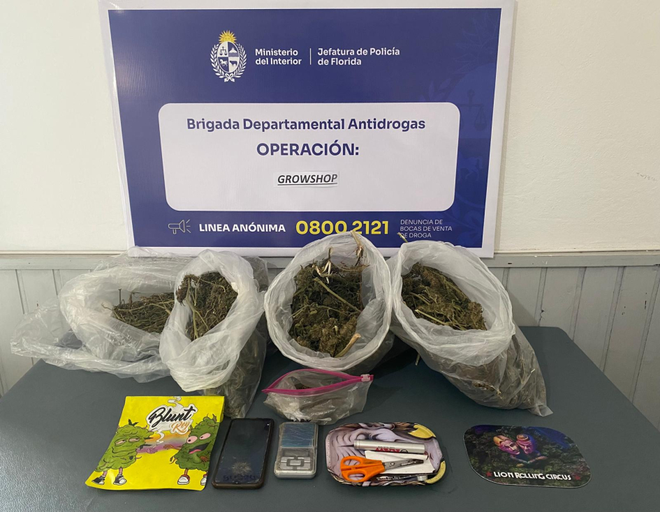 Operación Growshop Hombre de 30 años condenado por venta de estupefacientes