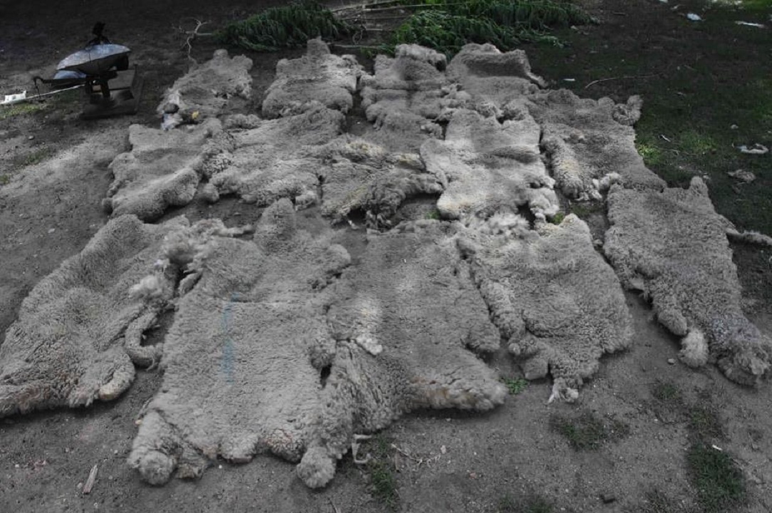 Operación El Tano 3