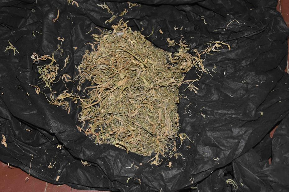 Operación El Tano 4