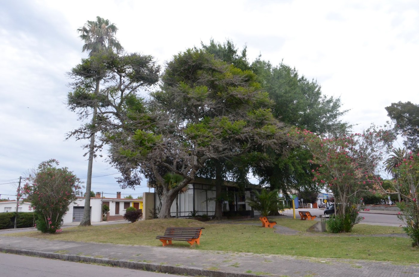 Paisajista Elina Daverede visitará Florida