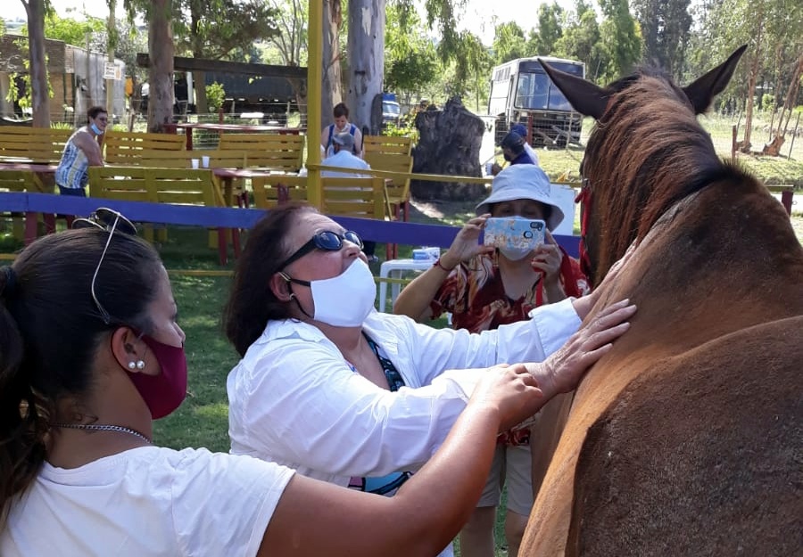 Personas ciegas y baja visión practican equitación terapéutica