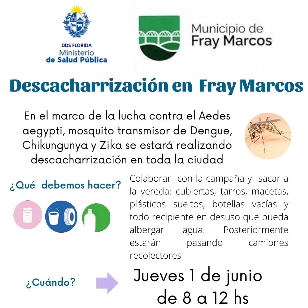 Plan de Descacharrización en Fray Marcos