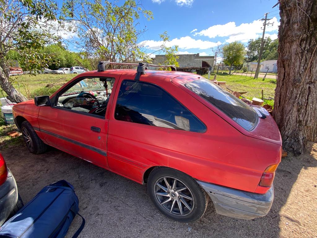 Procedimiento en Nico Pérez por caza abusiva